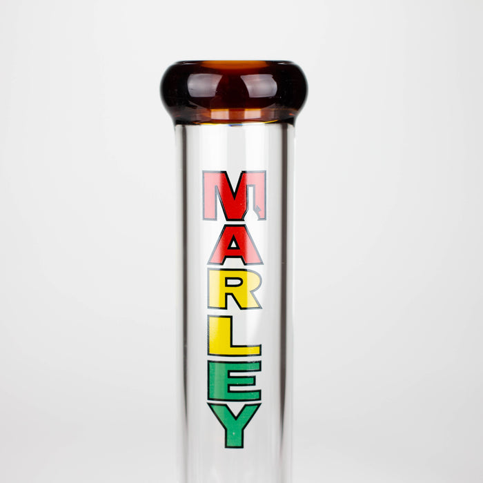 Marley | 11" 5mm Glass Beaker Bong [3825]_12