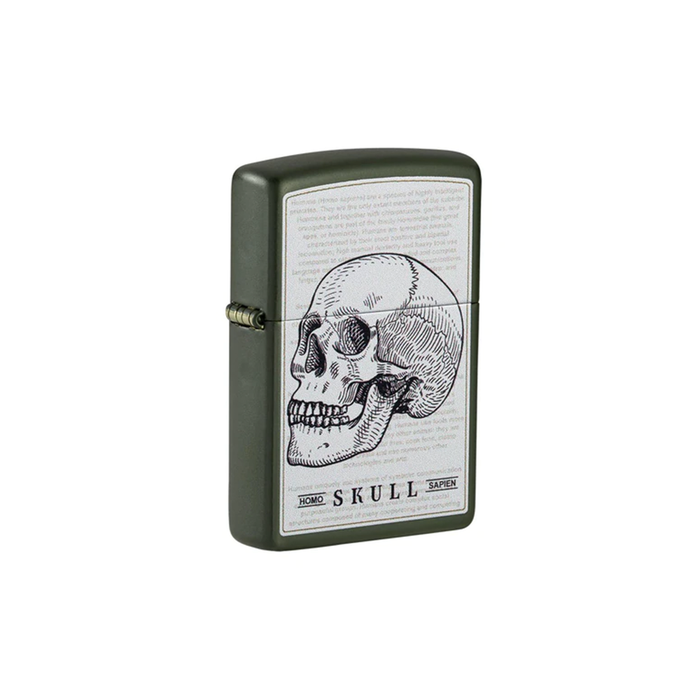 Zippo 49602 Skull Design_2