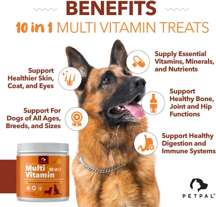 PetPal | Multi Vitamin Soft Chew Treats for Dogs_1