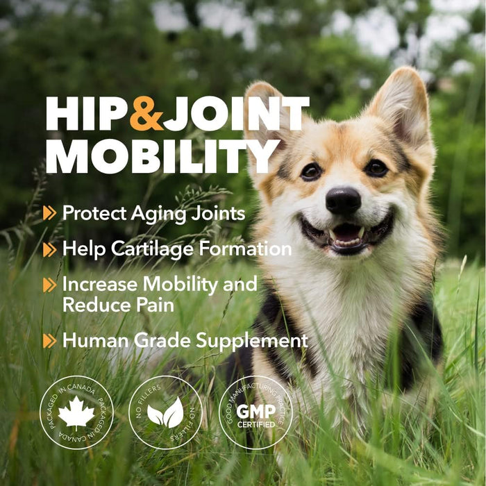 PetPal | Hip & Joint Mobility Powder for Dogs_3