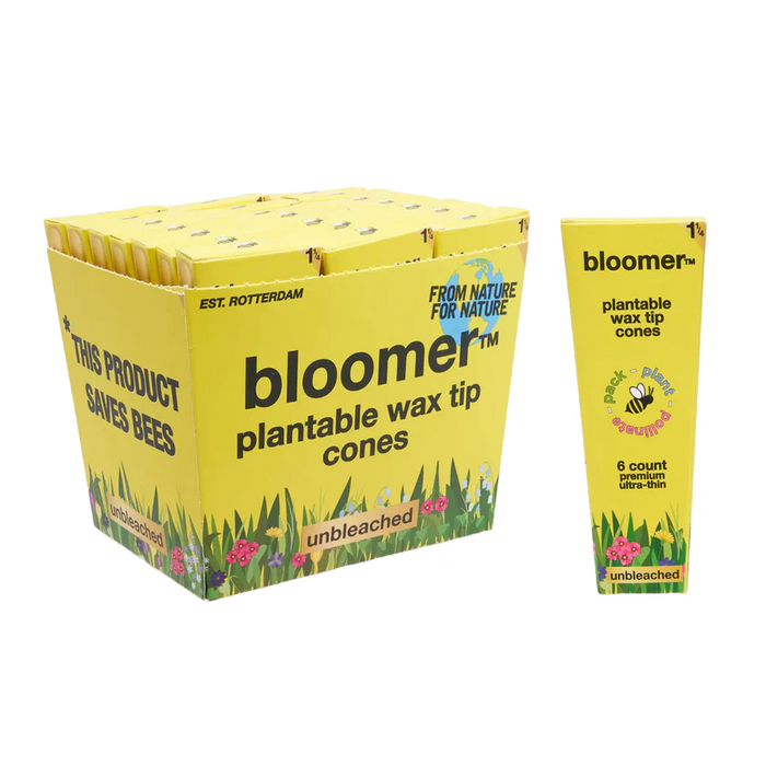 bloomer™ 1-1/4 paper cones - unbleached Box of 21_0