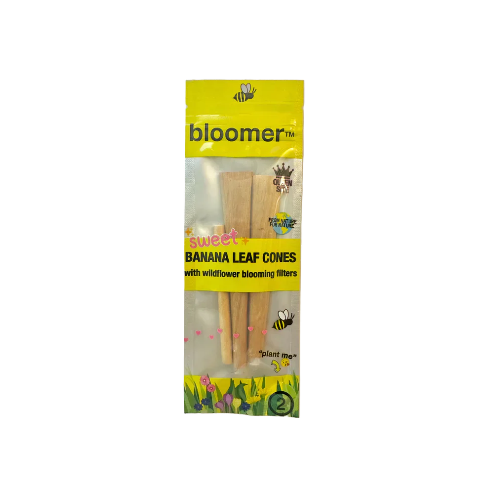 bloomer™ | sweet banana leaf cones box of 20_0