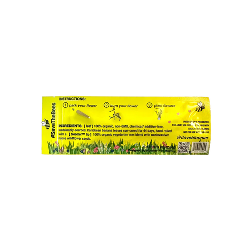 bloomer™ | sweet banana leaf cones box of 20_1